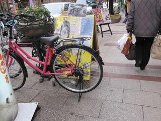 2012.02.02-3.jpg